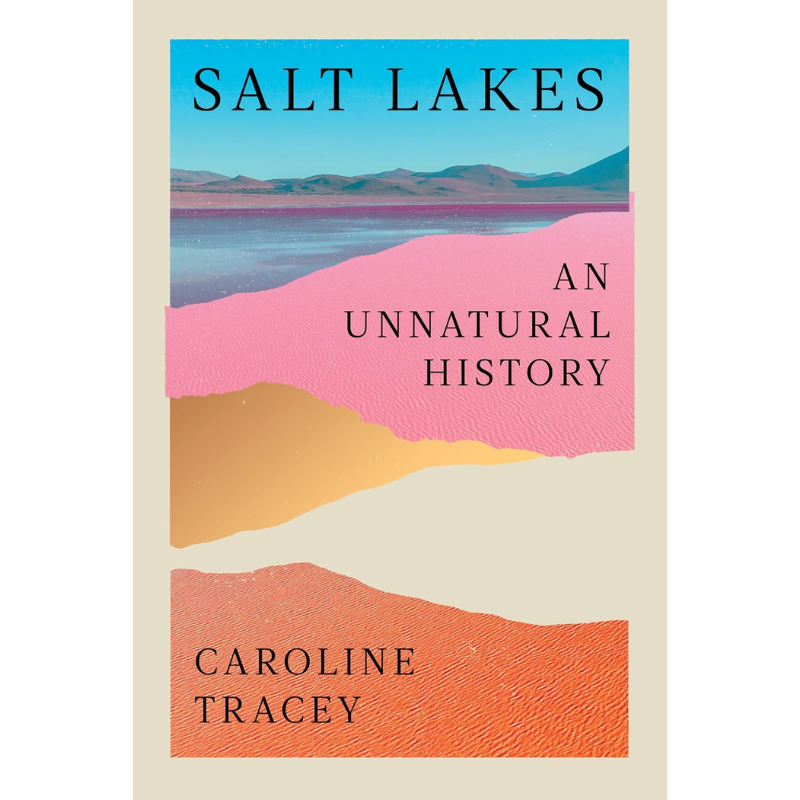 Salt Lakes by Caroline Tracey