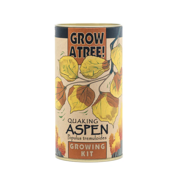 Quaking Aspen Growing Kit