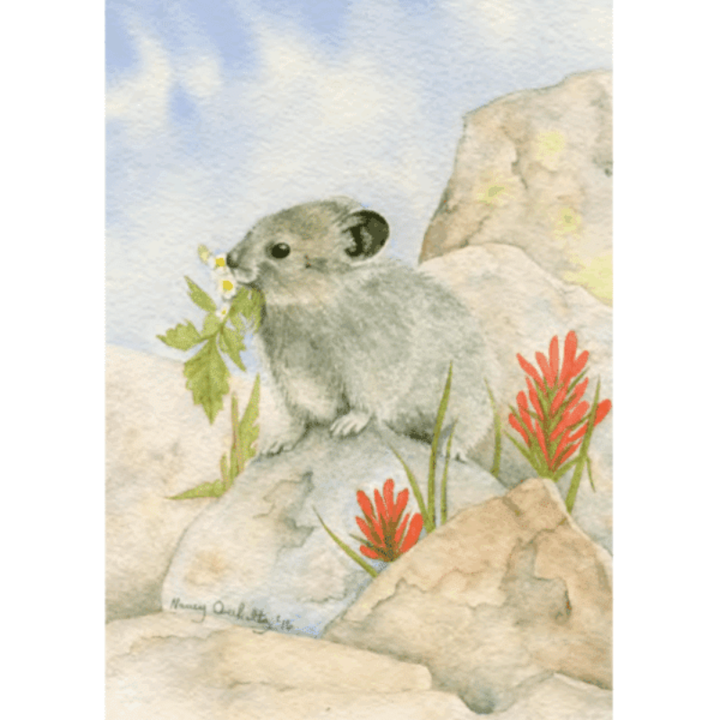 Pika III Card
