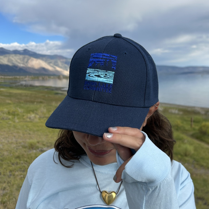 Hemp MLC Logo Cap (Navy)