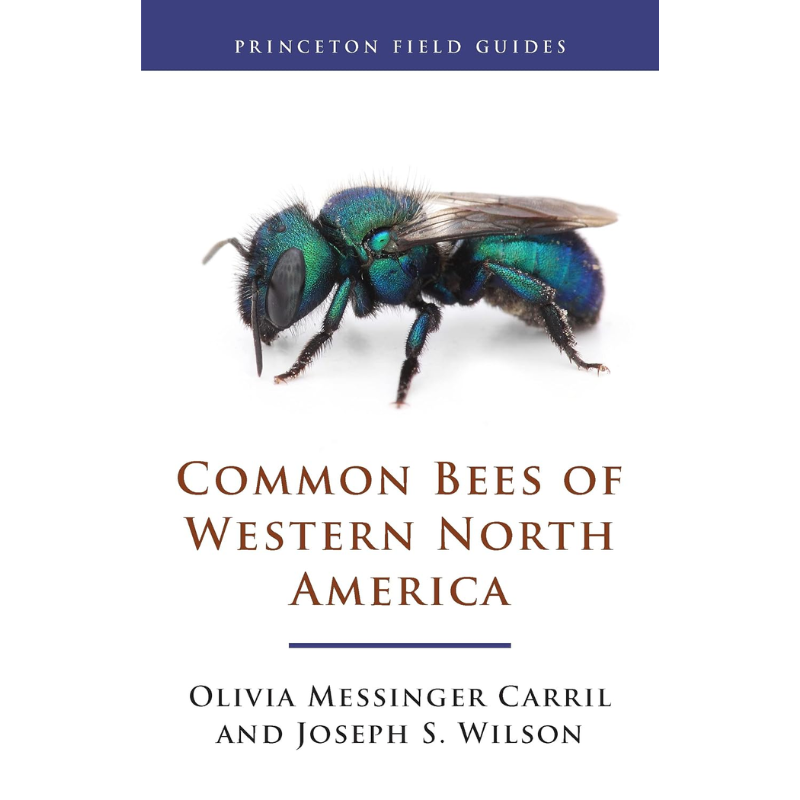 Common Bees of Western North America by Olivia Messinger Carril and Joseph S. Wilson