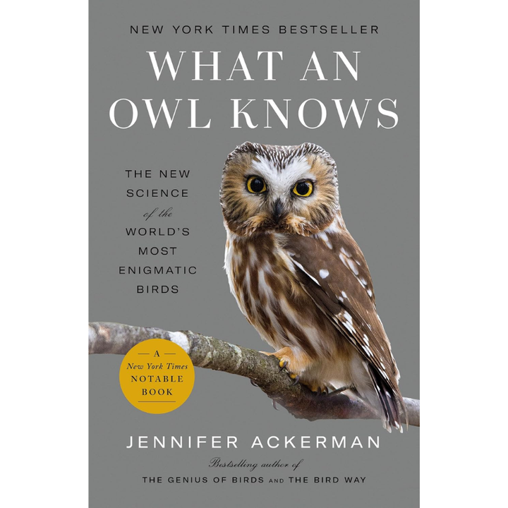 What an Owl Knows by Jennifer Ackerman