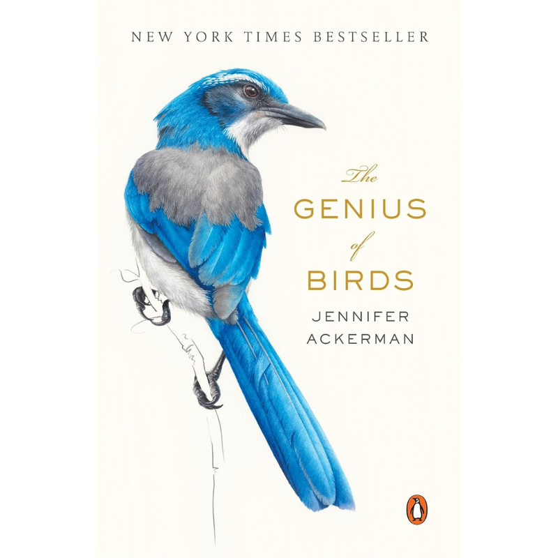 The Genius of Birds by Jennifer Ackerman