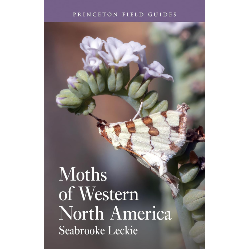 Moths of Western North America by Seabrooke Leckie