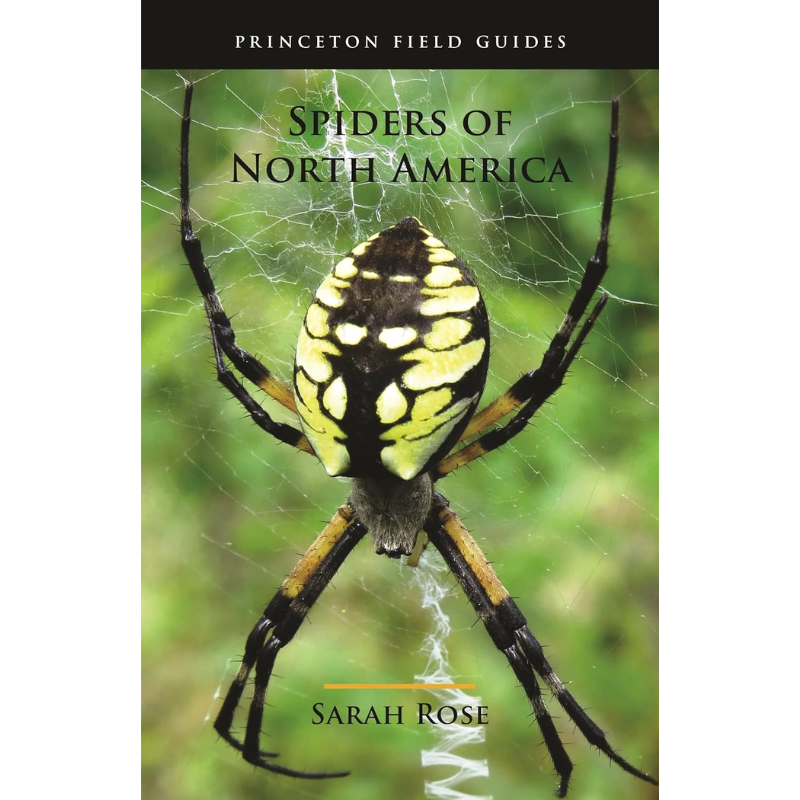 Spiders of North America by Sarah Rose