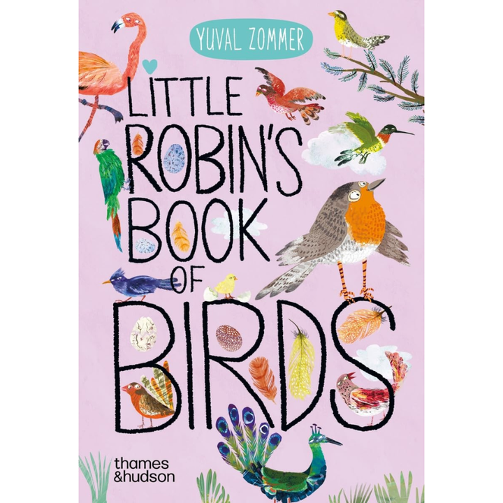 Little Robin's Book of Birds by Yuval Zommer
