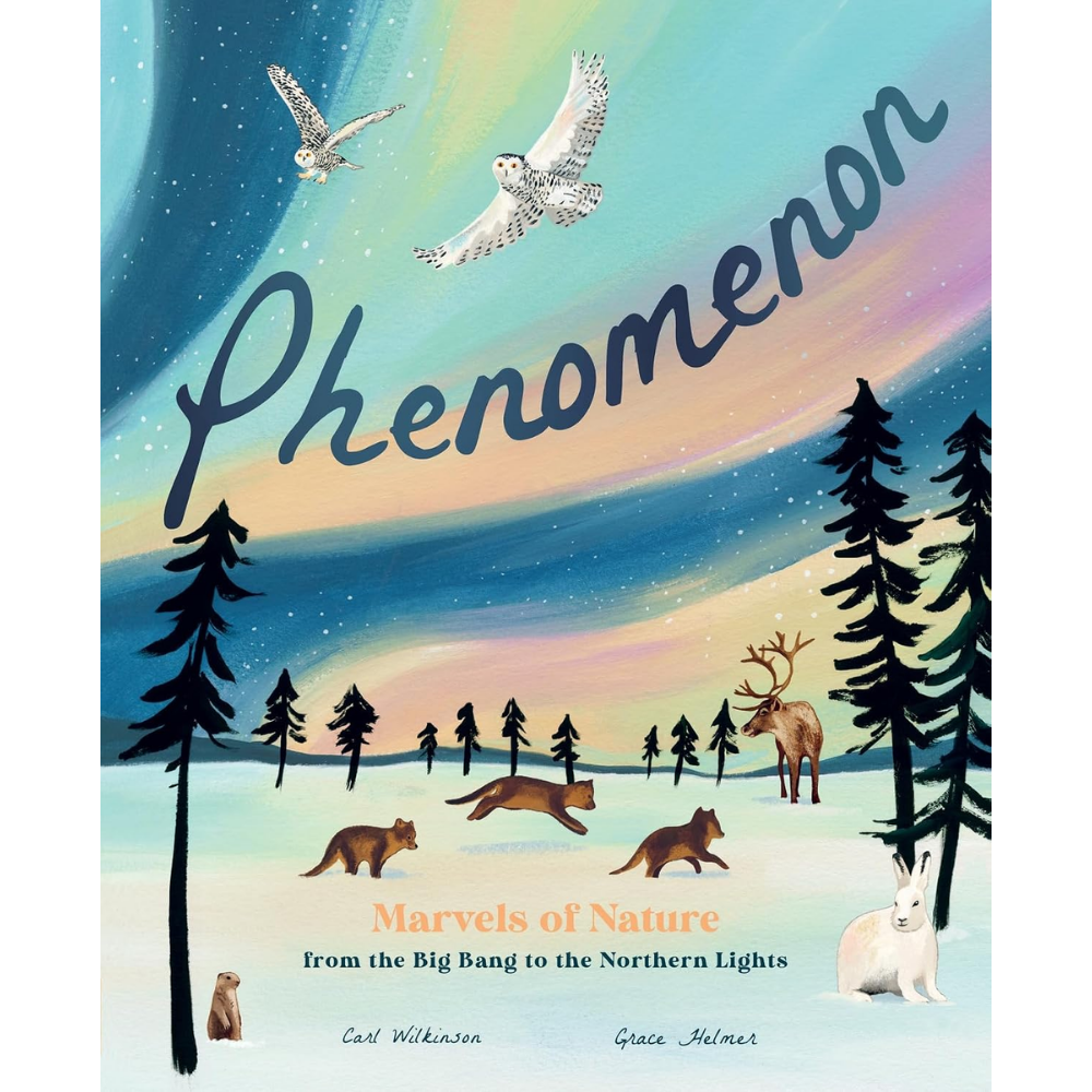 Phenomenon Written by Carl Wilkinson & Illustrated by Grace Helmer