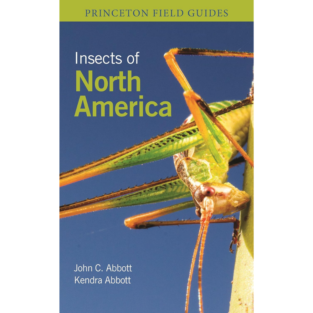 Insects of North America by John C. Abbott & Kendra Abbott
