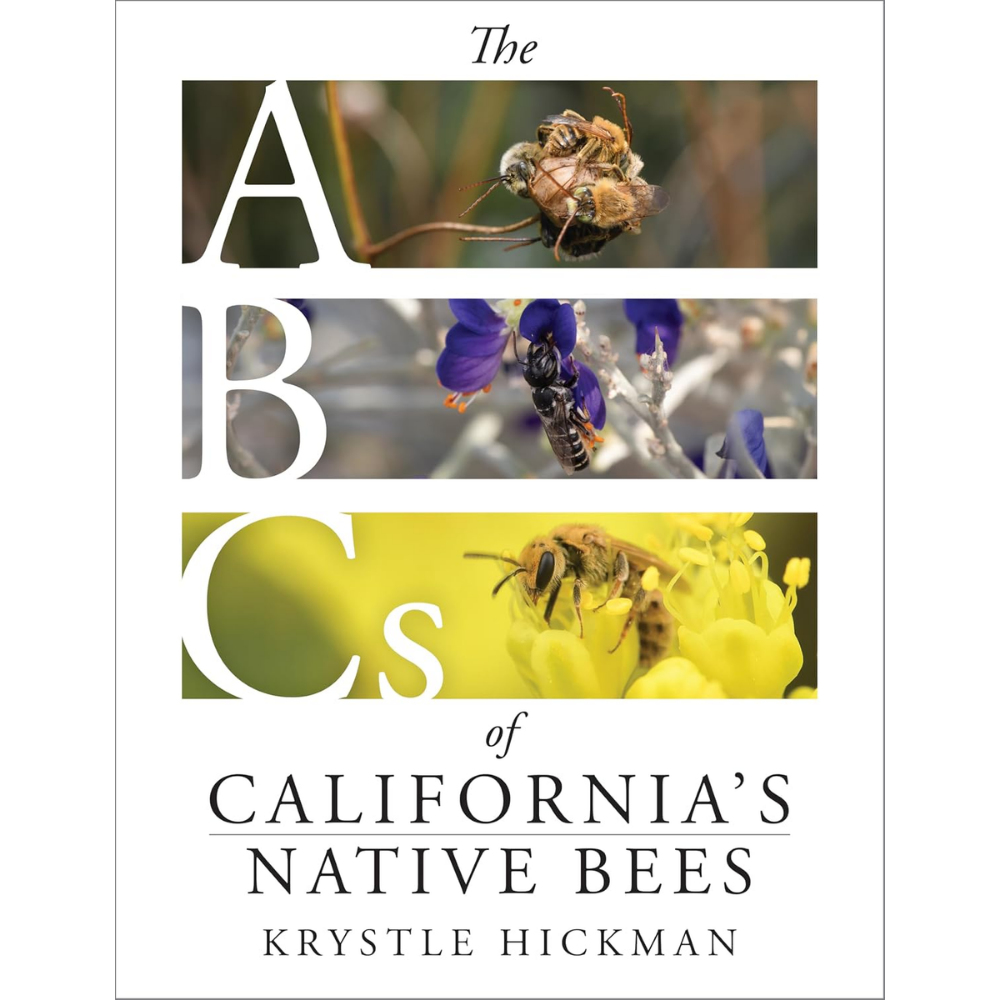 The ABCs of California's Native Bees by Krystle Hickman