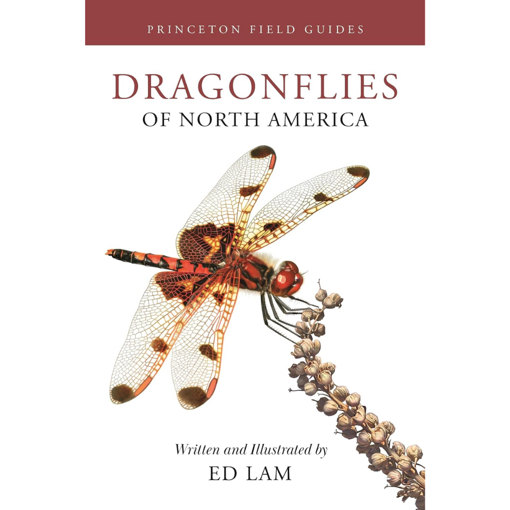 Dragonflies of North America by Ed Lam