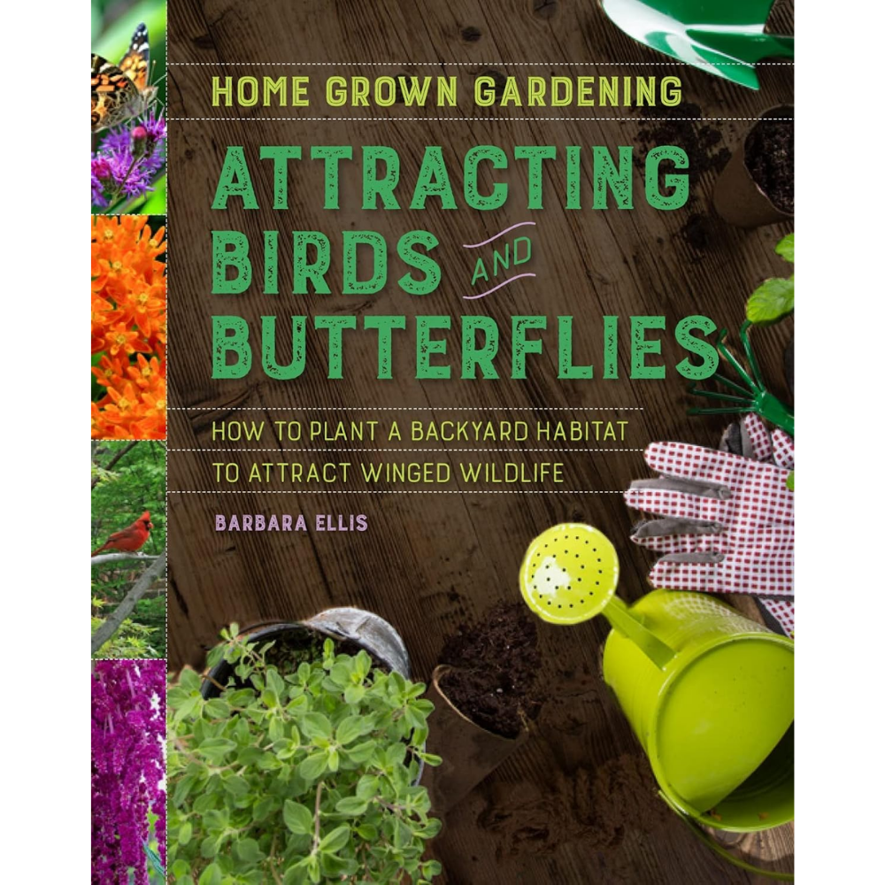 Attracting Birds and Butterflies by Barbara Ellis