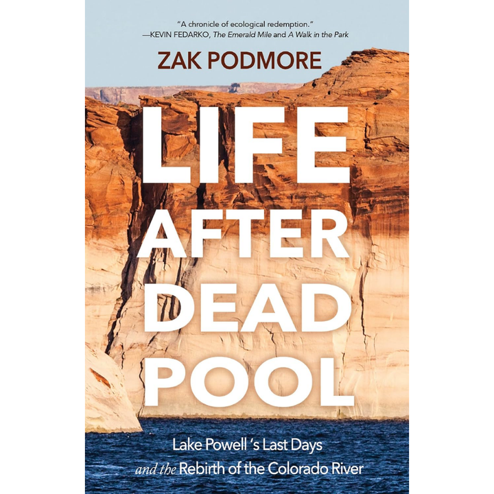 Life After Dead Pool by Zak Podmore