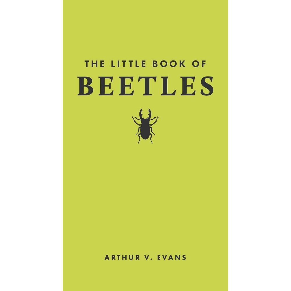 Little Book of Beetles by Arthur V. Evans