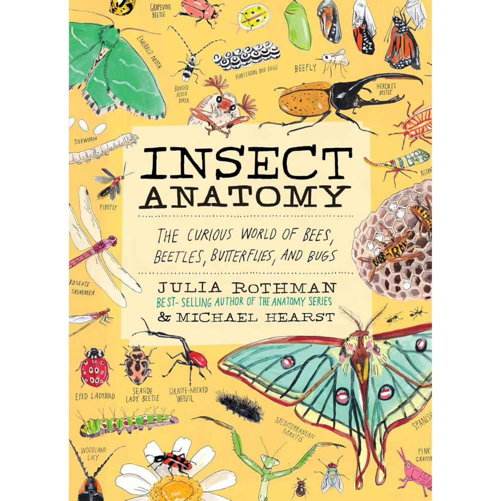 Insect Anatomy by Julia Rothman & Michael Hearst