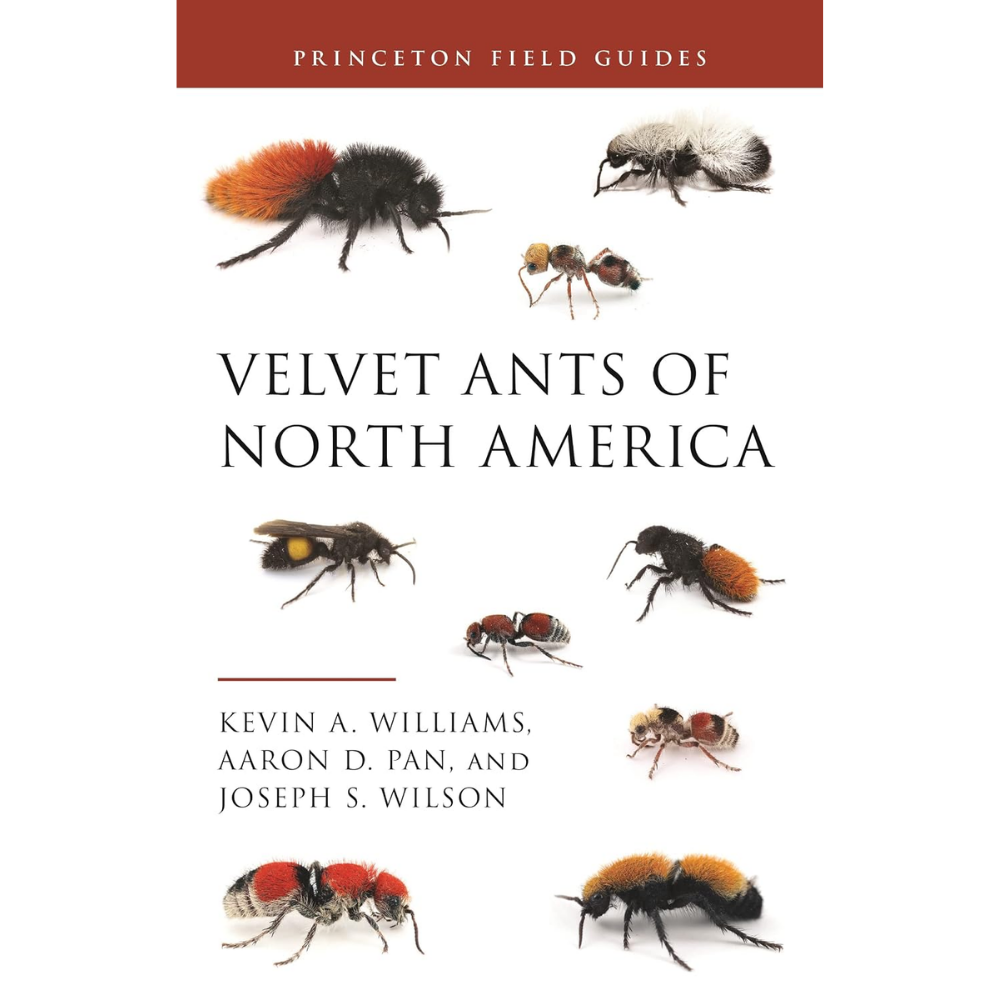 Velvet Ants of North America by Kevin A. Williams & Aaron D. Pan & Joseph S. Wilson