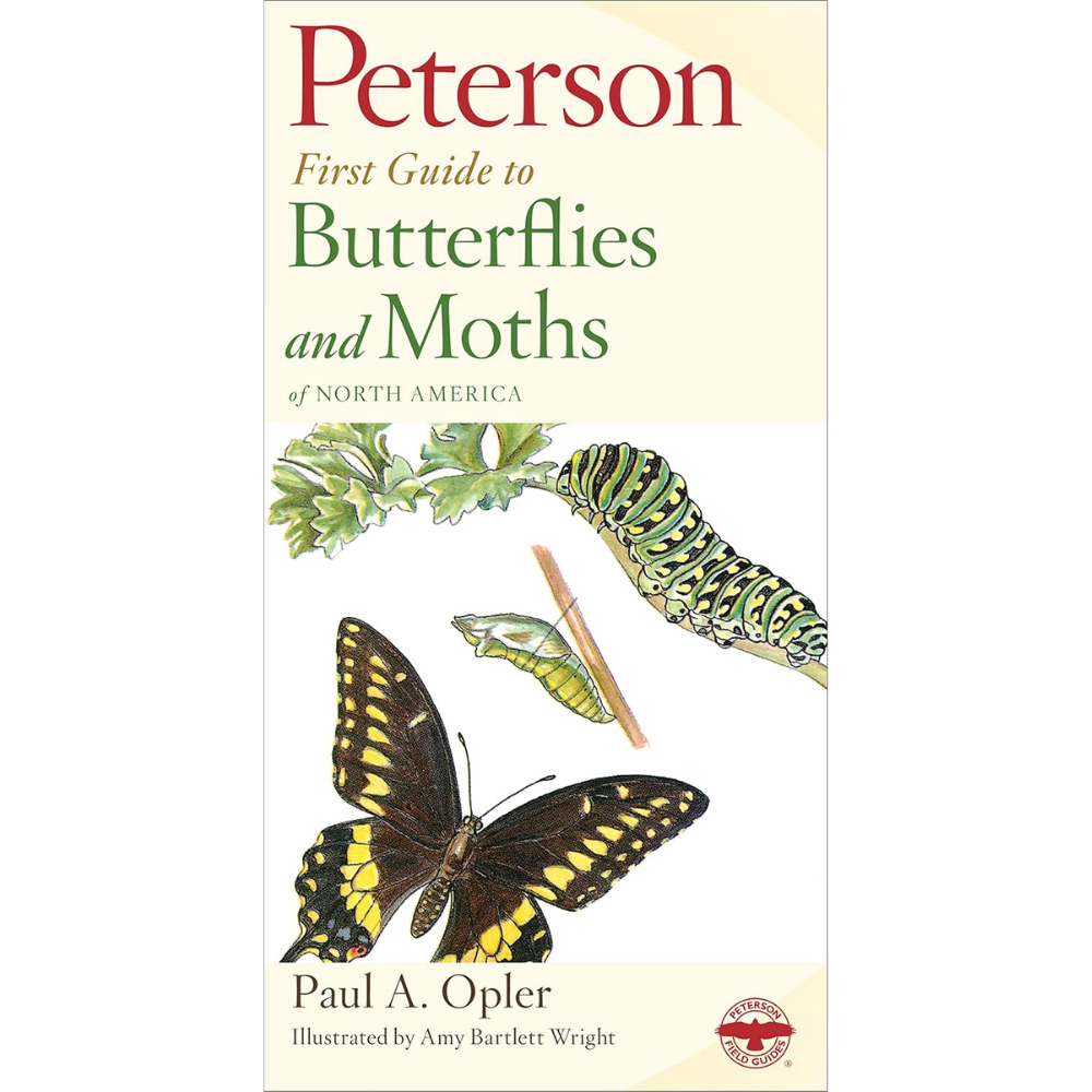 Peterson First Guide to Butterflies and Moths Written by Paul A. Opler & Illustrated by Amy Bartlett Wright (2nd edition)