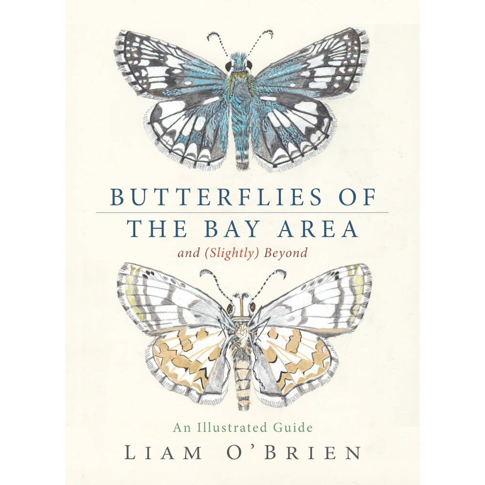 Butterflies of the Bay Area by Liam O'Brien