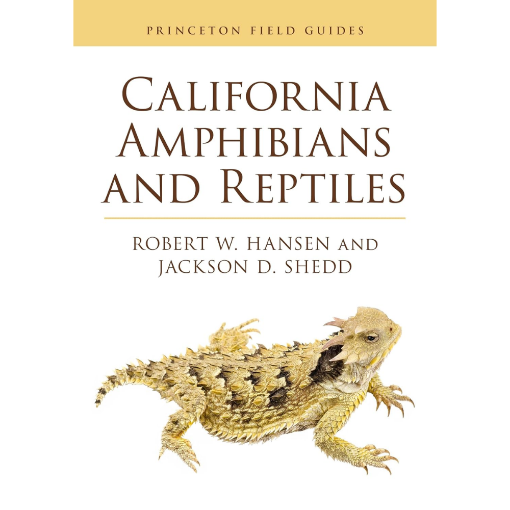 California Amphibians and Reptiles by Robert W. Hansen & Jackson D. Shedd