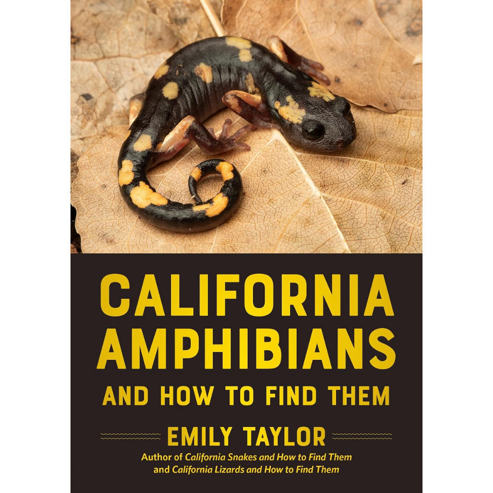 California Amphibians and How to Find Them by Emily Taylor