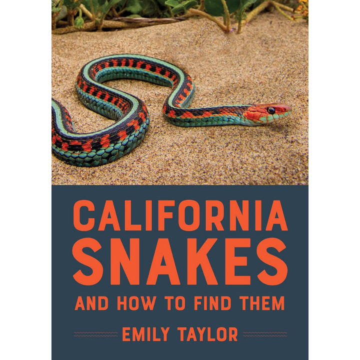 California Snakes and How to Find Them by Emily Taylor
