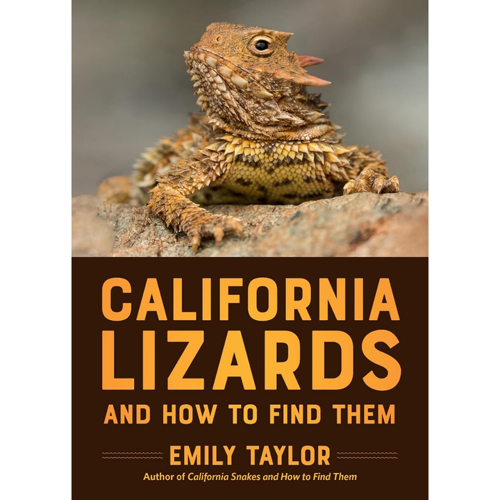 California Lizards and How to Find Them by Emily Taylor
