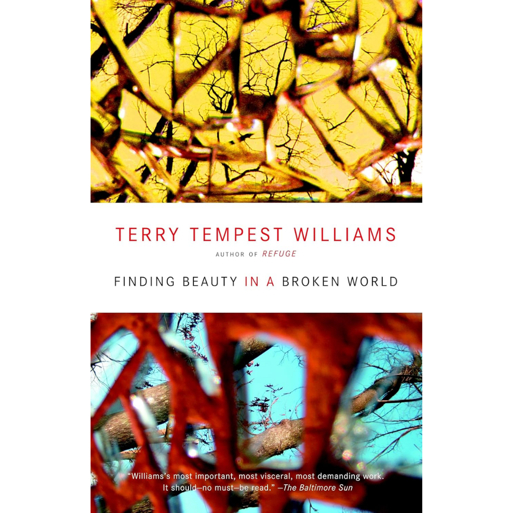 Finding Beauty in a Broken World by Terry Tempest Williams