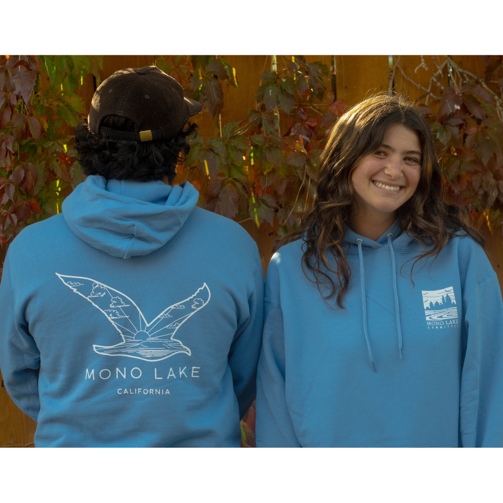 California Gull hoodie (poconip-blue)