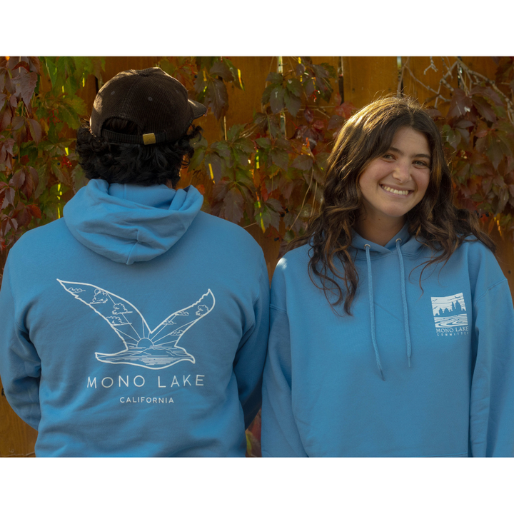 California Gull hoodie (poconip-blue)