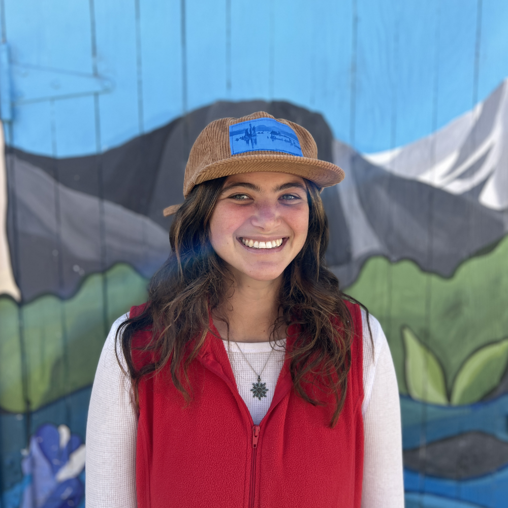 Sun-print tufa hat