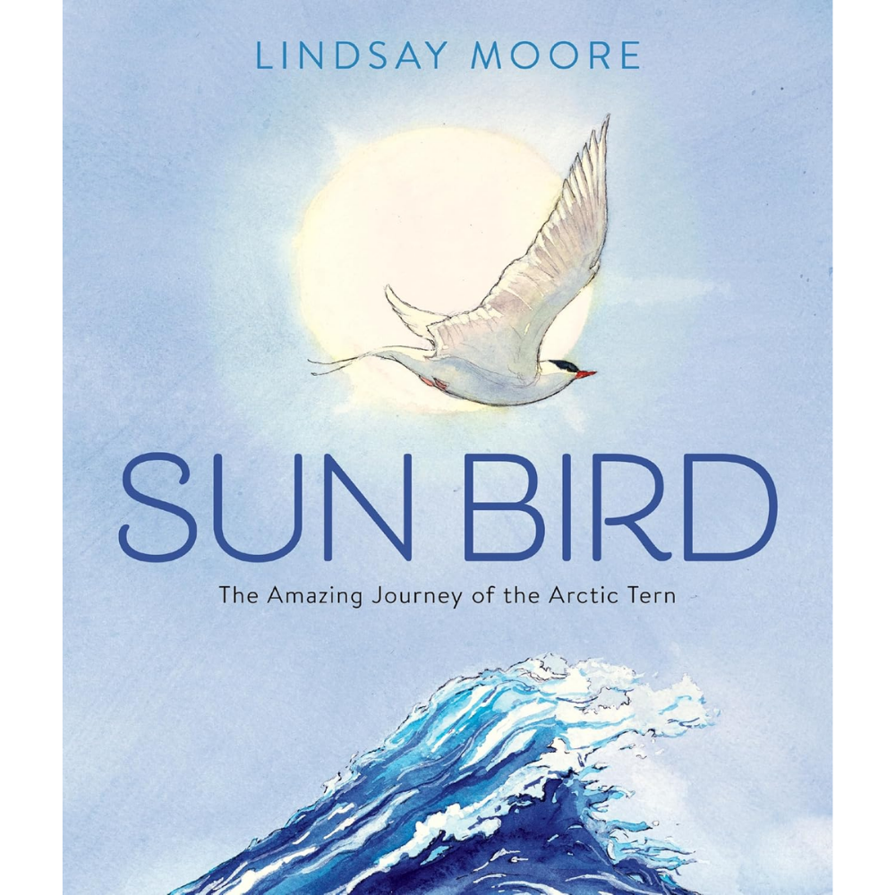 Sun Bird by Lindsay Moore