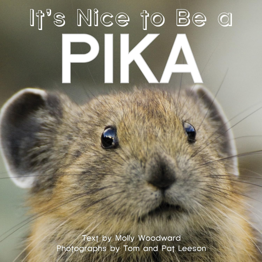 It's Nice to be a Pika Written by Molly Woodward & Photographs by Tom and Pat Leeson