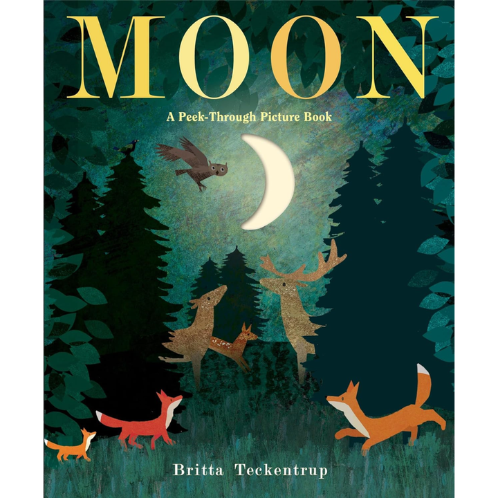 Moon by Britta Teckentrup