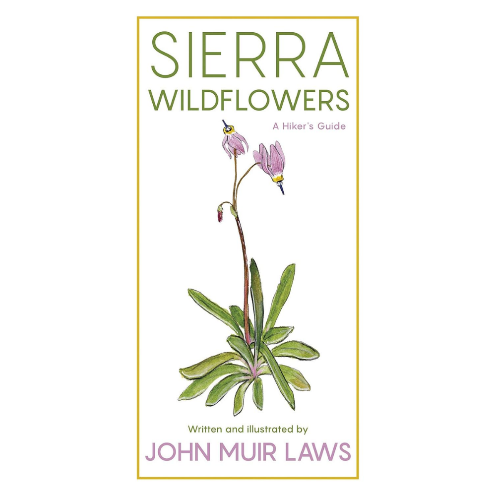 Sierra Wildflowers by John Muir Laws