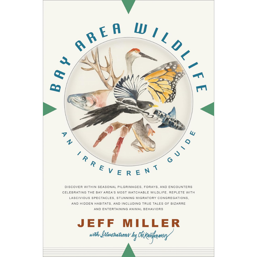 Bay Area Wildlife Written by Jeff Miller & Illustrated by Obi Kaufmann