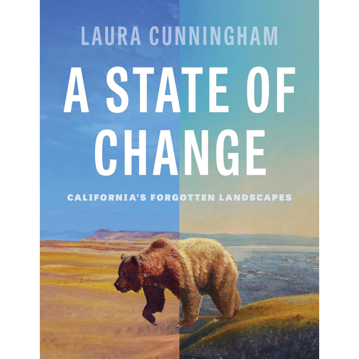 A State of Change by Laura Cunningham