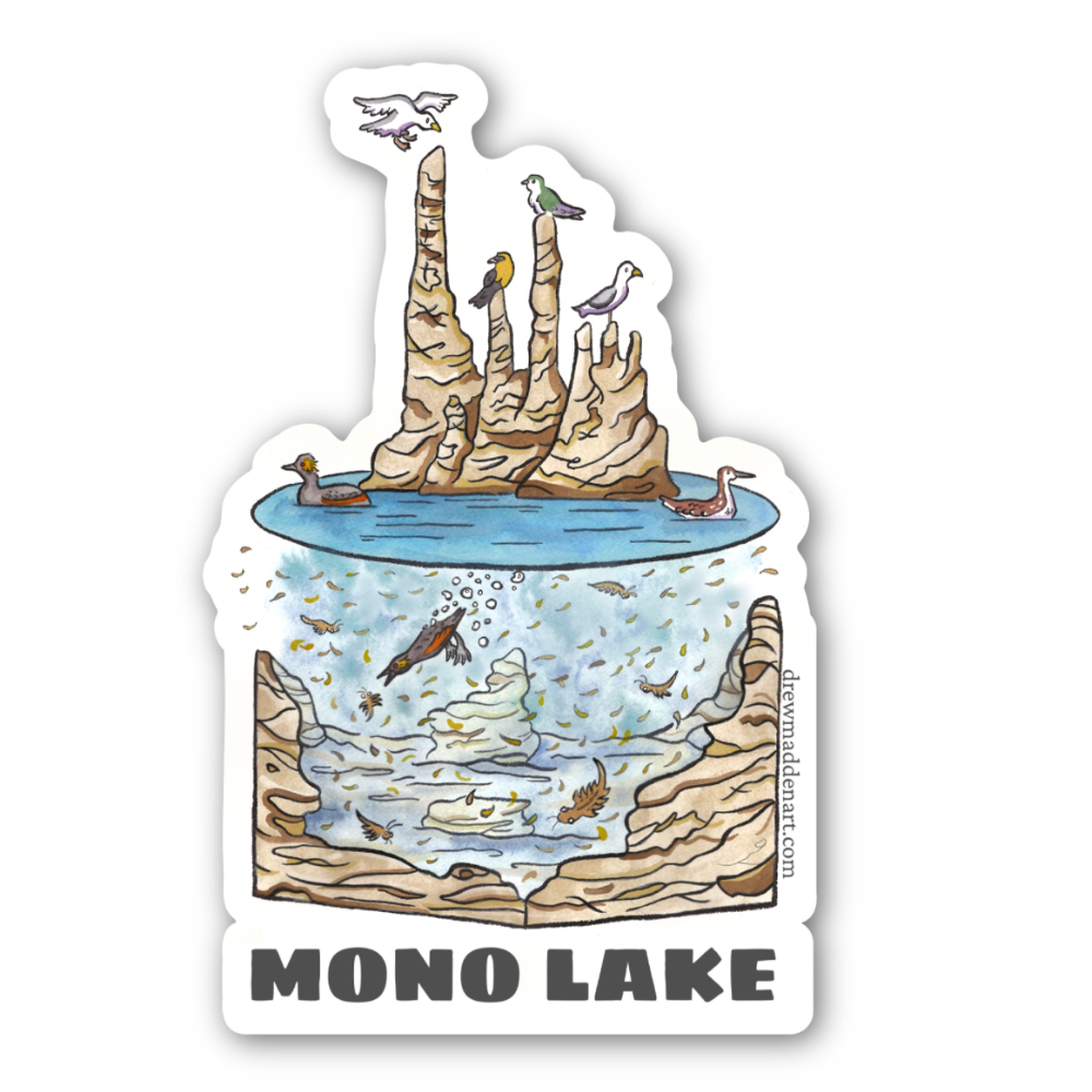 Water Column Sticker