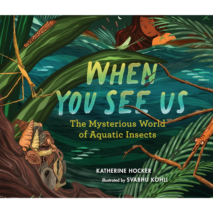 When You See Us Written by Katherine Hocker & Illustrated by Svabhu Kohli