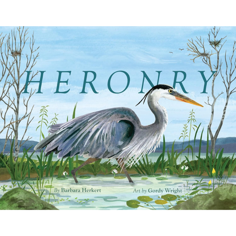 Heronry Written by Barbara Kerkert & Illustrated by Gordy Wright