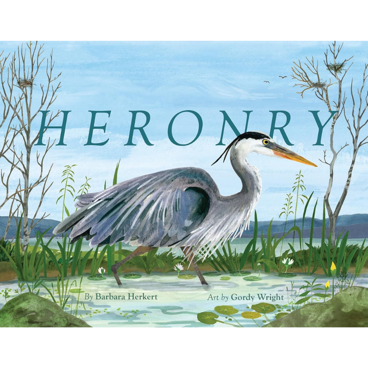 Heronry Written by Barbara Kerkert & Illustrated by Gordy Wright
