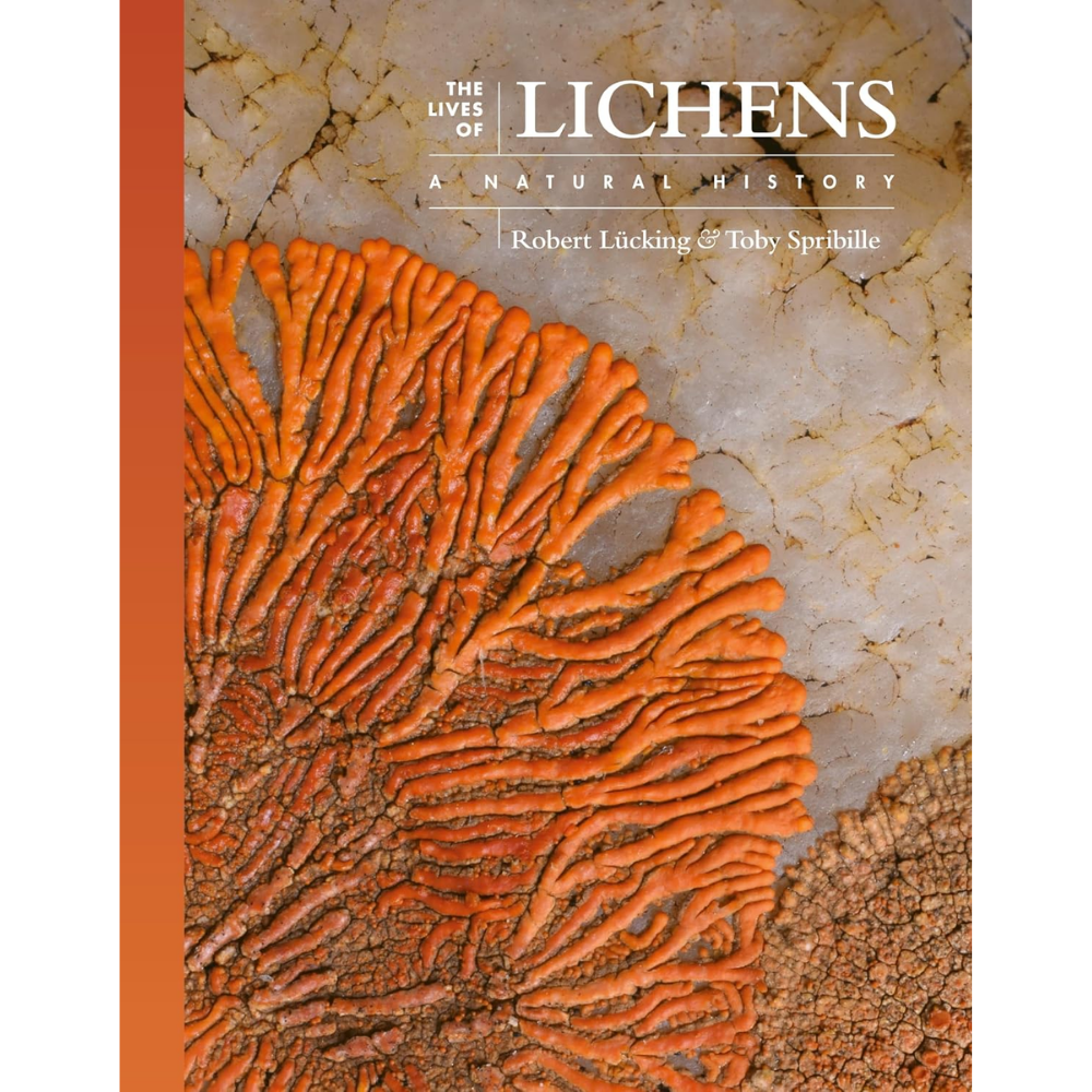 The Lives of Lichen by Robert Lücking & Toby Spribille