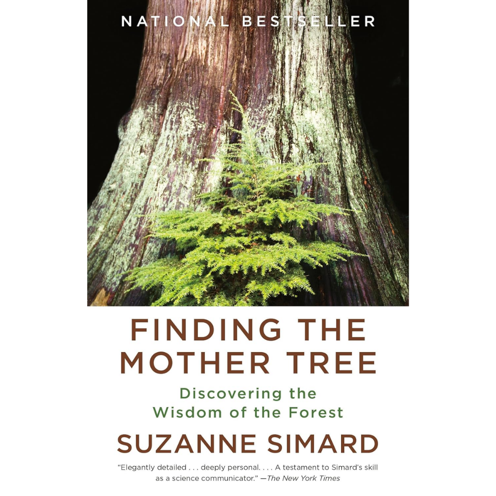 Finding the Mother Tree by Suzanne Simard