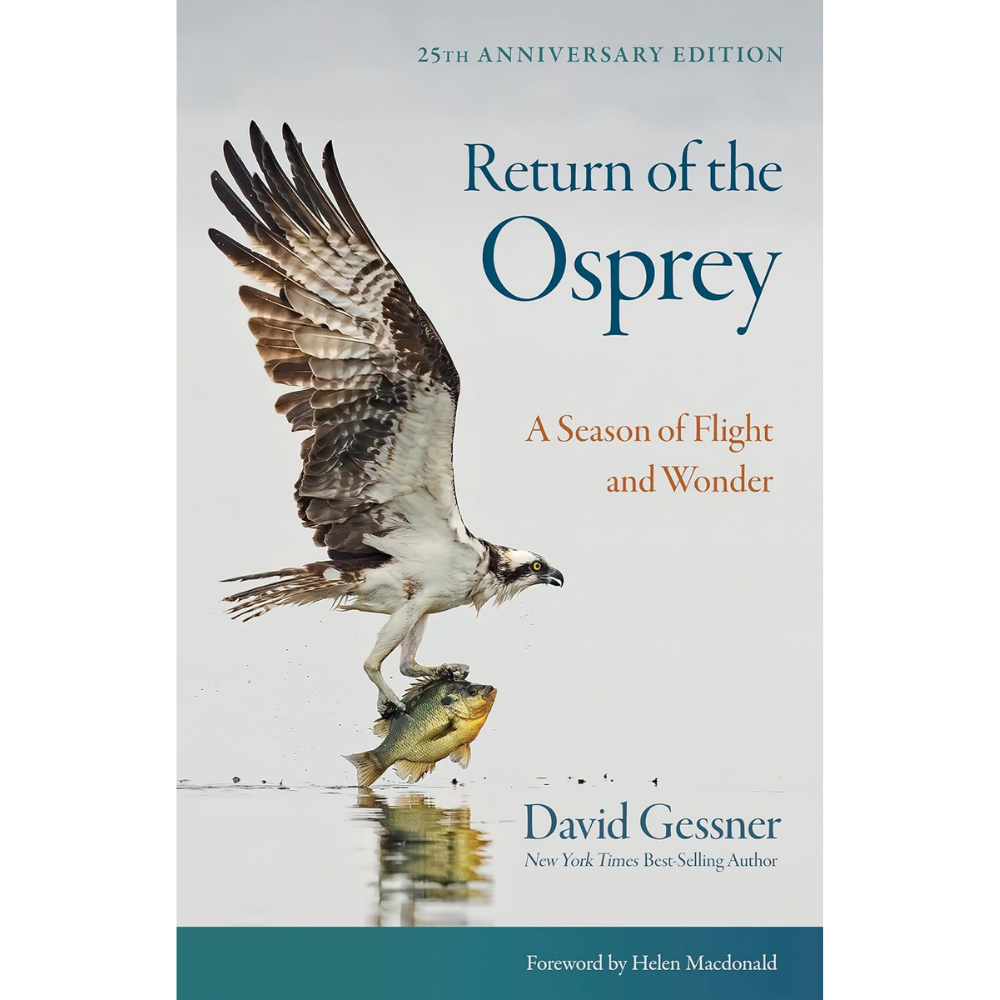 Return of the Osprey by David Gessner
