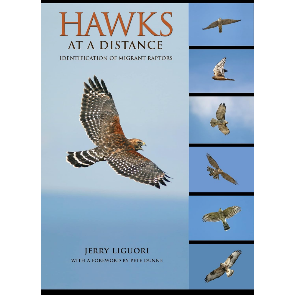 Hawks at a Distance by Jerry Liguori